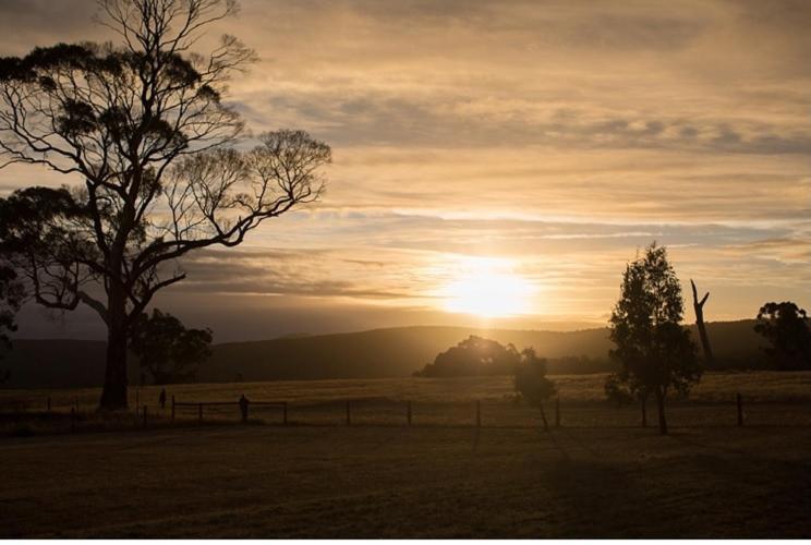 Bed and Breakfast Rooks Edge Gisborne Exterior foto
