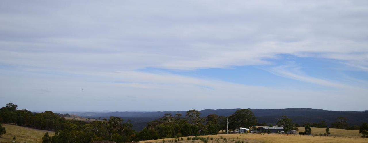 Bed and Breakfast Rooks Edge Gisborne Exterior foto
